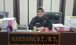 image_750x_66c2e581f40be