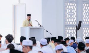 085db924-68f7-49bb-b6e5-bc8e57ef4fc1