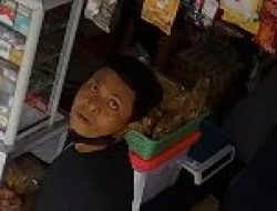 Terekam CCTV, Pria Nekat Curi Rokok di Warung Sembako Jalan Pramuka Bandar Lampung