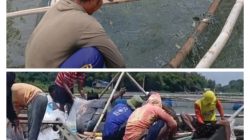 BUMDes Jagang Panen 5 Ton Ikan Mas, Kini Tertekan Kenaikan Harga Pakan