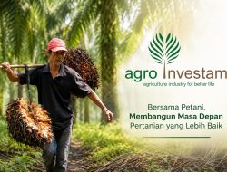 Skema “Kebun Energi” Diusulkan, TBS Sawit Petani Tak Lagi Khawatir Ditolak Pabrik