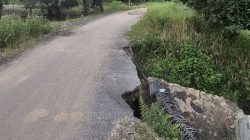 Tinjau Jembatan Ambrol di Way Kanan, Anggota DPRD Lampung Deni Ribowo Pastikan Perbaikan Segera Dilakukan Lewat CSR Perusahaan