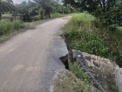 Tinjau Jembatan Ambrol di Way Kanan, Anggota DPRD Lampung Deni Ribowo Pastikan Perbaikan Segera Dilakukan Lewat CSR Perusahaan